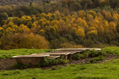 The Bathroom-in-the-fields -)