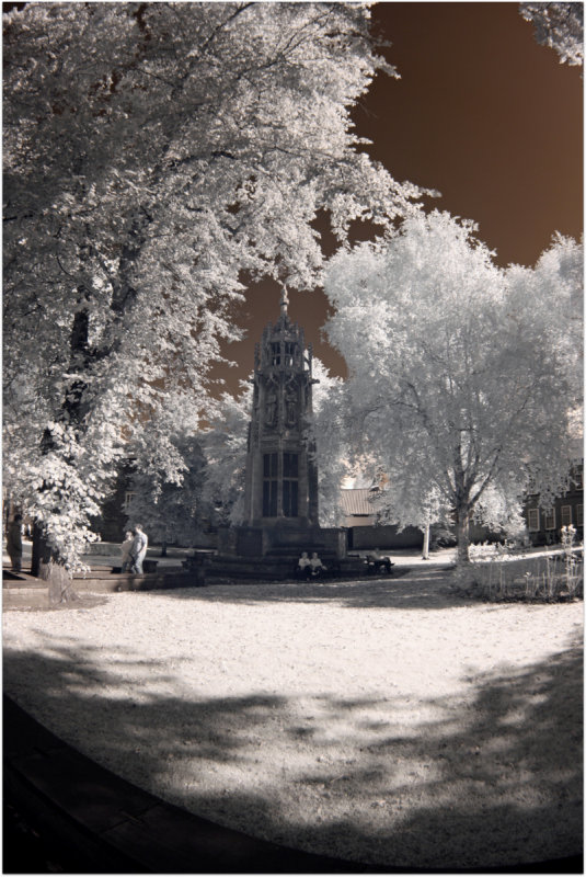 Trees and Monument