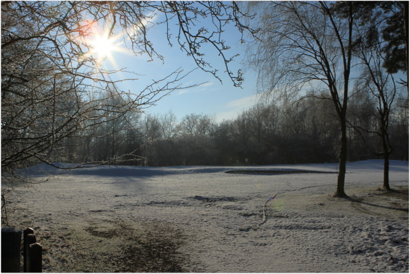 Golf Course
