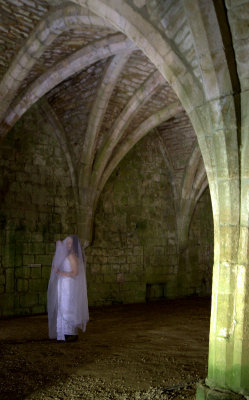 The Model in the Abbey