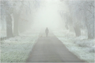 Foggy Morning Dog Walk