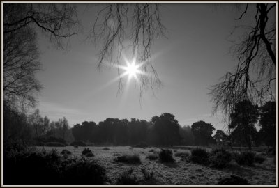 Frosty and Bright Morning