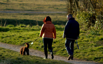 Evening Dog Walk