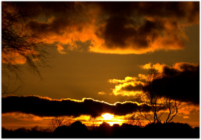 Strensall Common Sunset