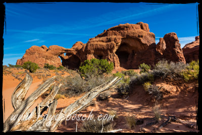 Parade of Elephants, Windows Area, Arches NP