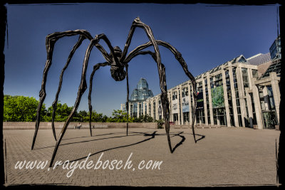 The Spider , Ottawa