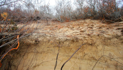 December 8, 2012, Fort Tilden