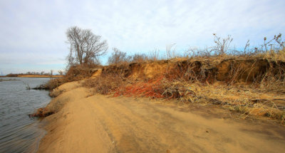 December 23, 2012, Jamaica Bay NWR