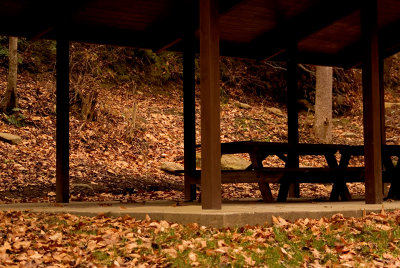 Picnic Tables