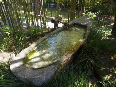 P9020999_s.jpg