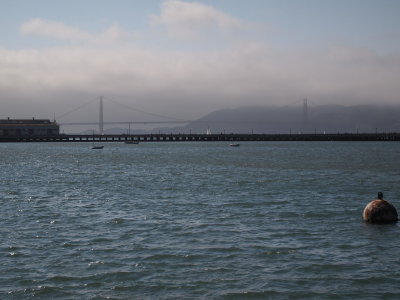 P9010968_s.jpg