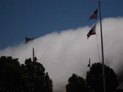 P9021013_s.jpg