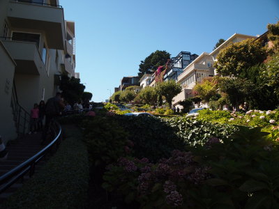 P9021020_s.jpg