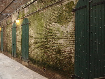 P9031045_s.jpg