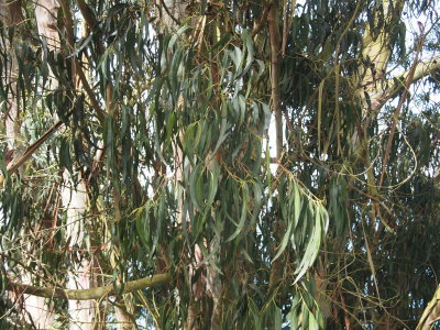 P9031048_s.jpg