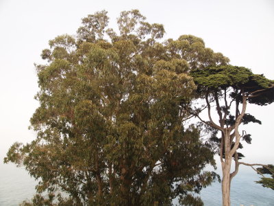 P9031050_s.jpg