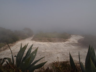 P9031067_s.jpg