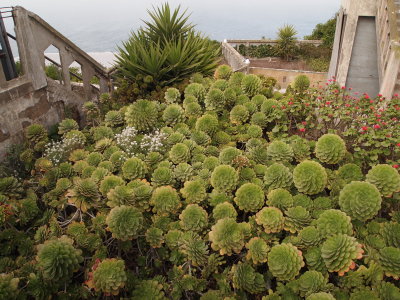P9031068_s.jpg