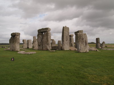 P9220823_s.jpg