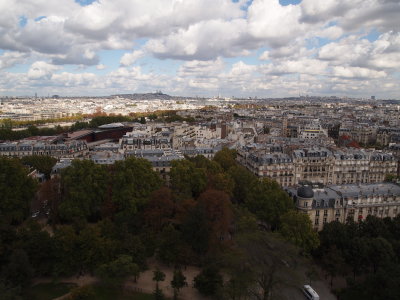 P9190751_s.jpg