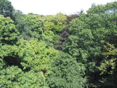 105-0517_CRW_s.jpg