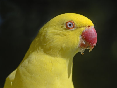up close with the 90mm