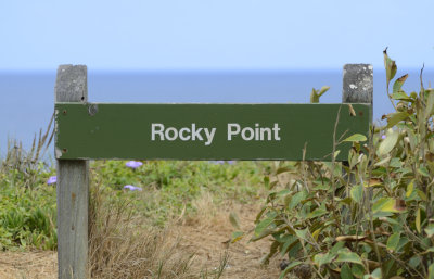 rocky point in the wind