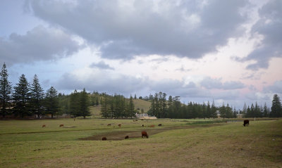 bucolic view of an old homestead used by officers