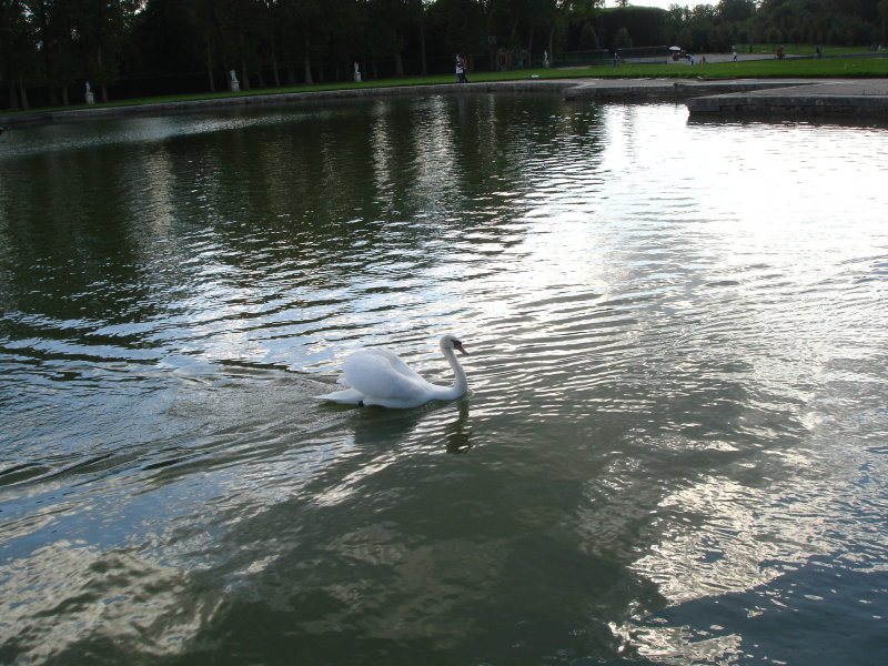 Versailles Garden 2.JPG