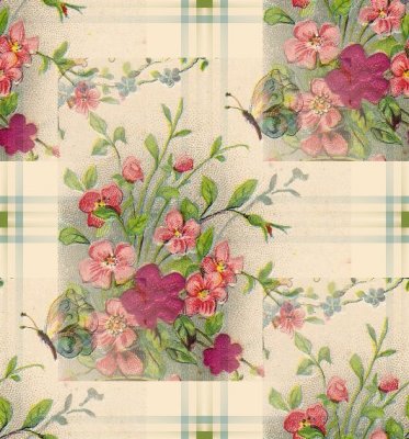 butterflyplaid.jpg