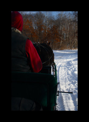 Winter sliegh ride with Blaze 2.jpg