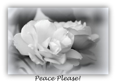 Wish