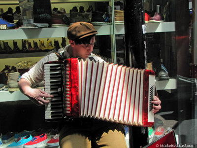 L' accordoniste