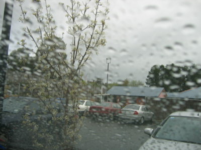 24 august Rain, lucky rain!!!!