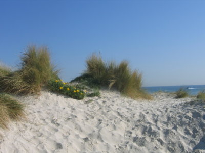 30 august spring at port philip bay