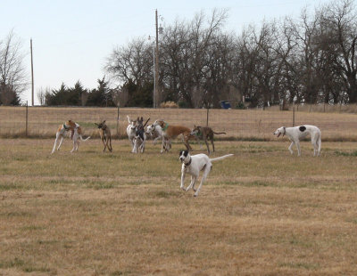 image90.jpg