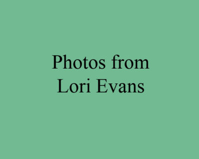 lori.jpg