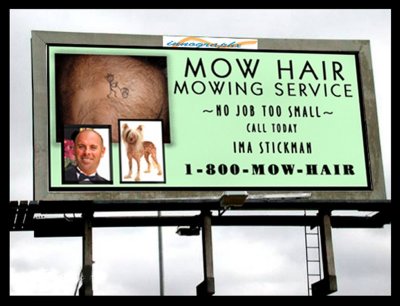 MOW-HAIR-BILLBOARD