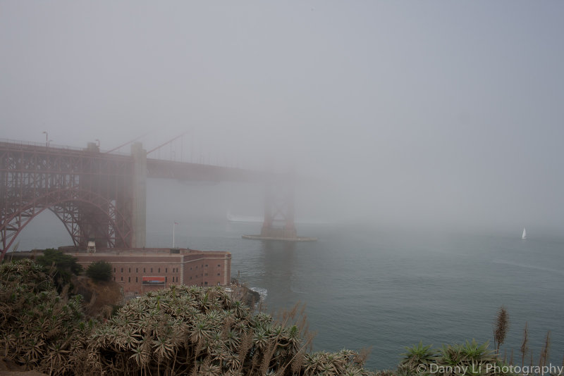_MG_9457.jpg