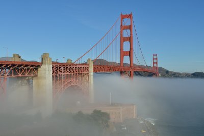 DSC_7885.jpg