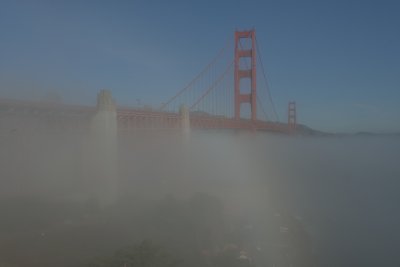DSC_7879.jpg