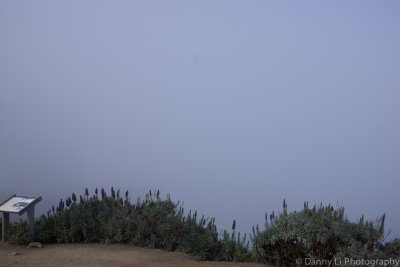 DSC01025.jpg