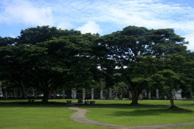 meadow of Plaza de espana.jpg