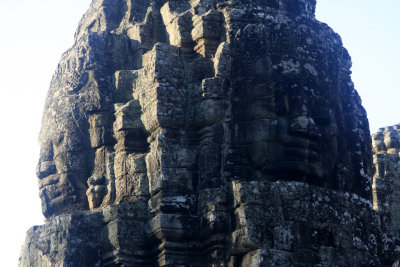 closeup.jpg