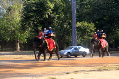 riding elephant.jpg