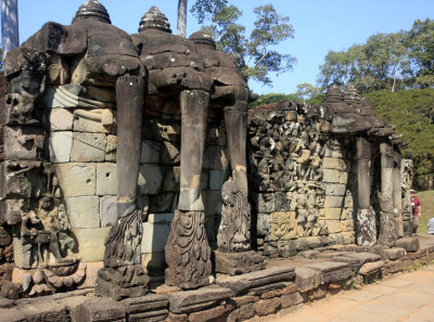 elephant terrace.jpg