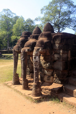 elephant terrace 2.jpg