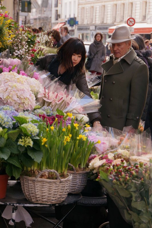 Picking Flowers