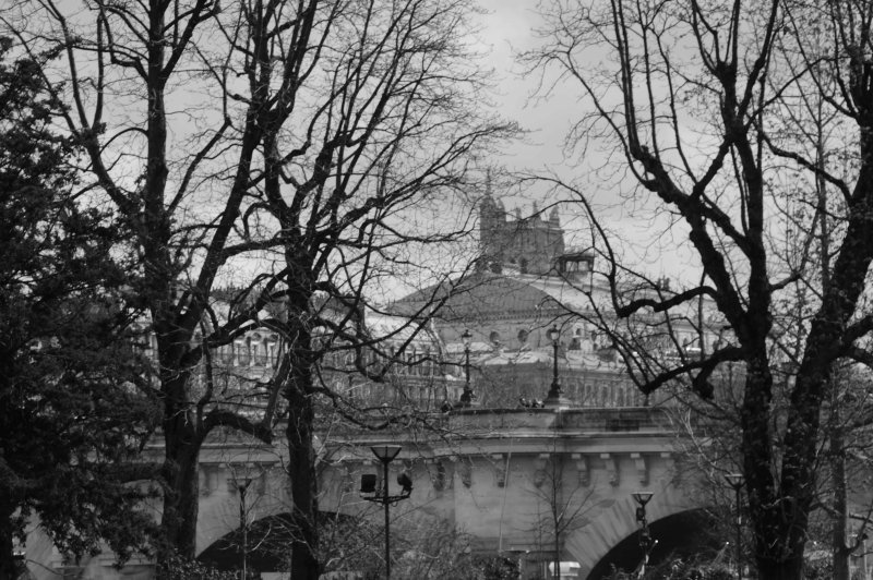 Pont Neuf View