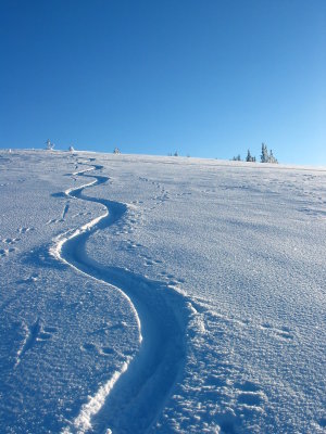 Back Country Skiing